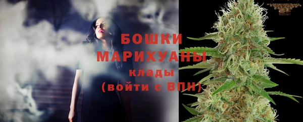 шишки Гусев