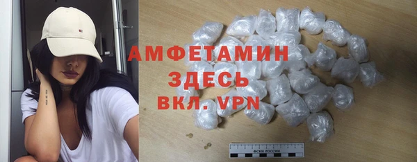 шишки Гусев