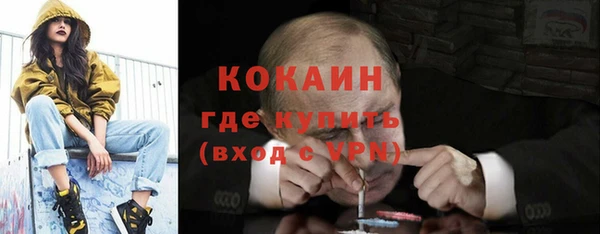 шишки Гусев