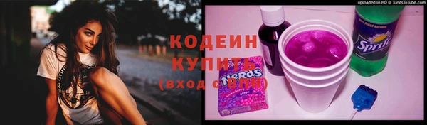 шишки Гусев