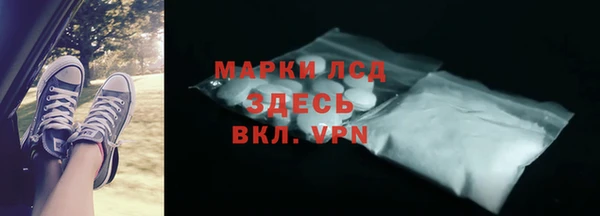 шишки Гусев