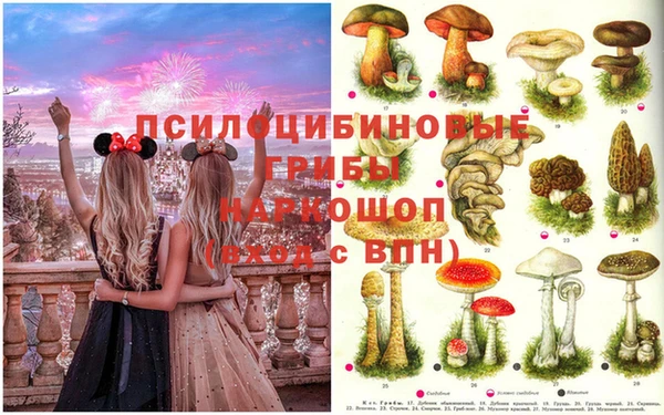 прущая мука Гусь-Хрустальный