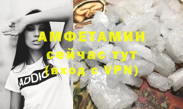 шишки Гусев