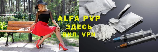 шишки Гусев