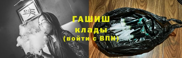 шишки Гусев