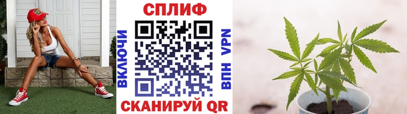 Шишки марихуана семена  Купить закладки  Малоярославец 